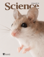 25 February 2011 Science Cover
