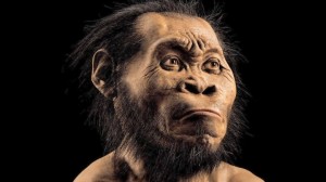Homo naledi rendering. (source: National Geographic)